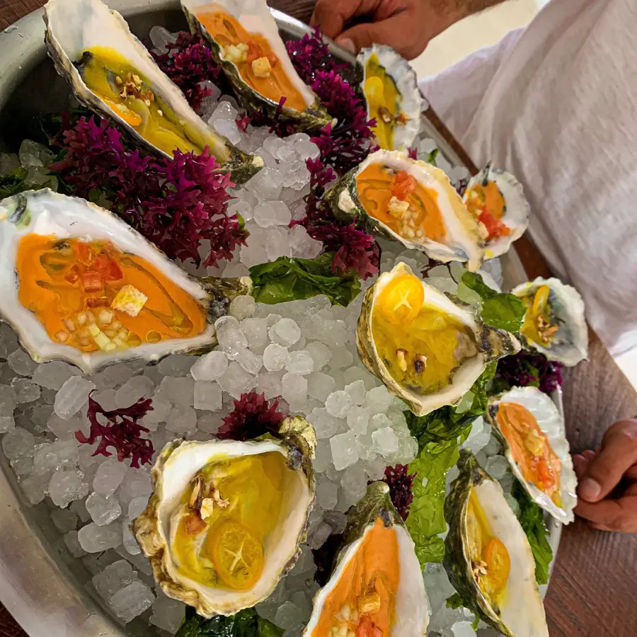 creation thumb for Ostra gazpacho y ostra ceviche 🦪