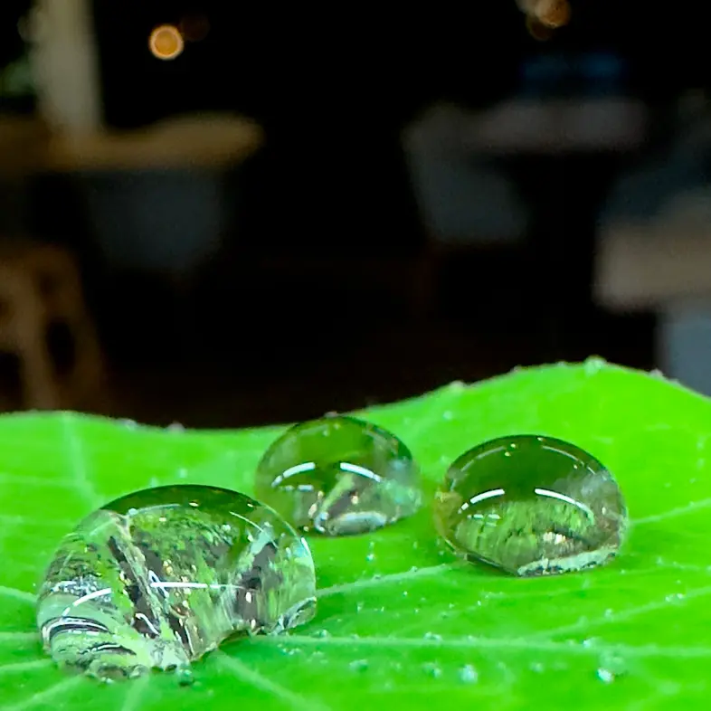 creation thumb for Rice Vinegar Dew 💧