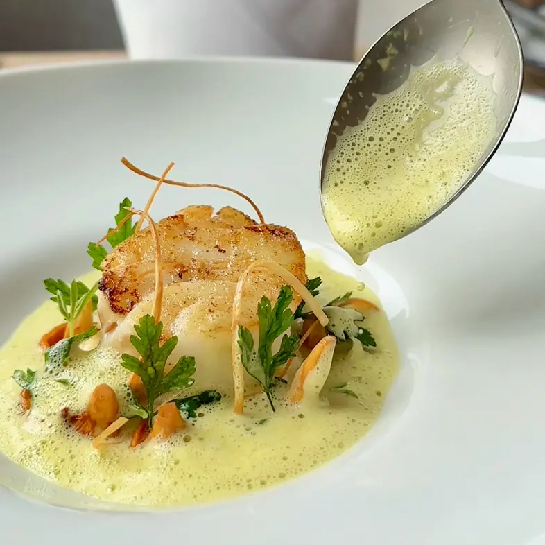 creation thumb for Sauce, foam, veloute