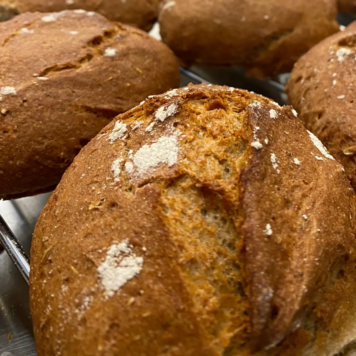 creation thumb for Vinschger Brötchen - panini venostani -