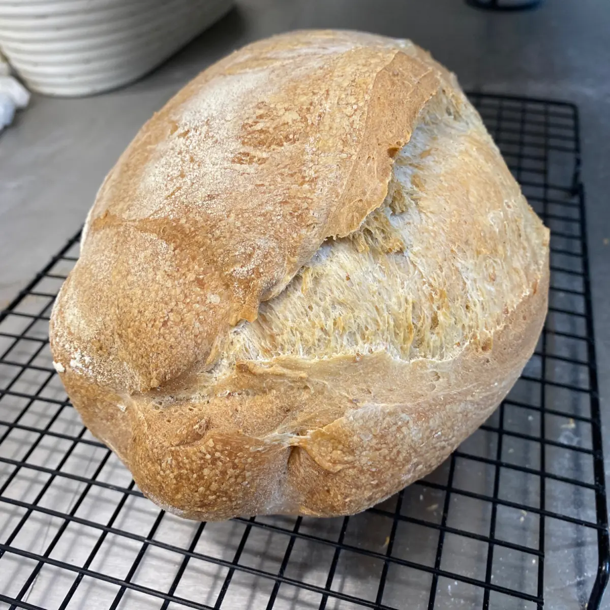 creation thumb for Trying bread and pizza dough