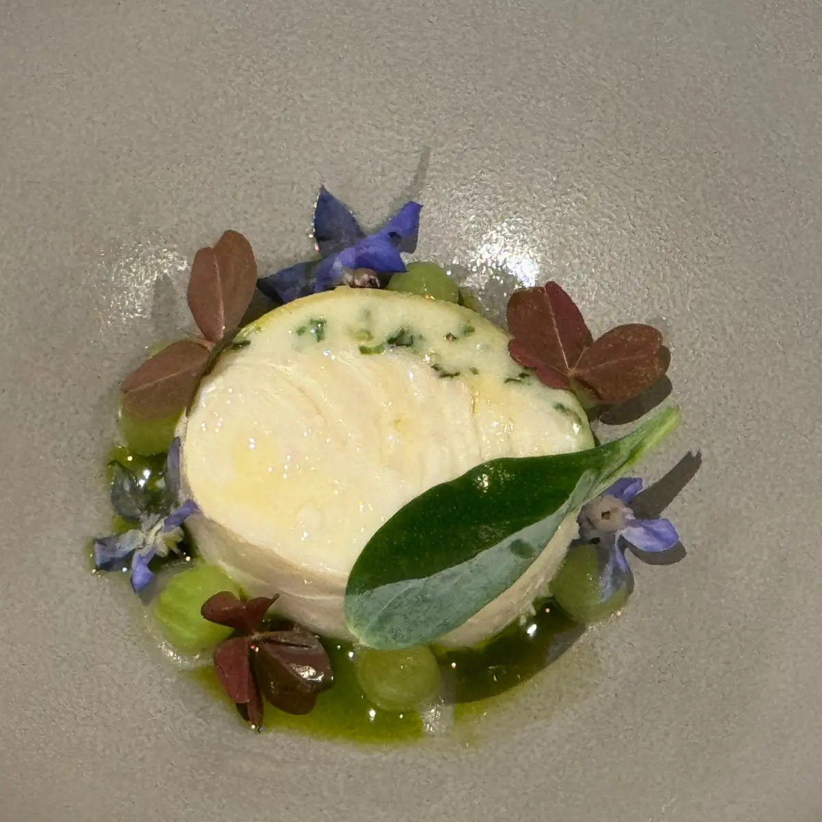 creation thumb for Halibut with Hokkaido Scallop and Summer Squash