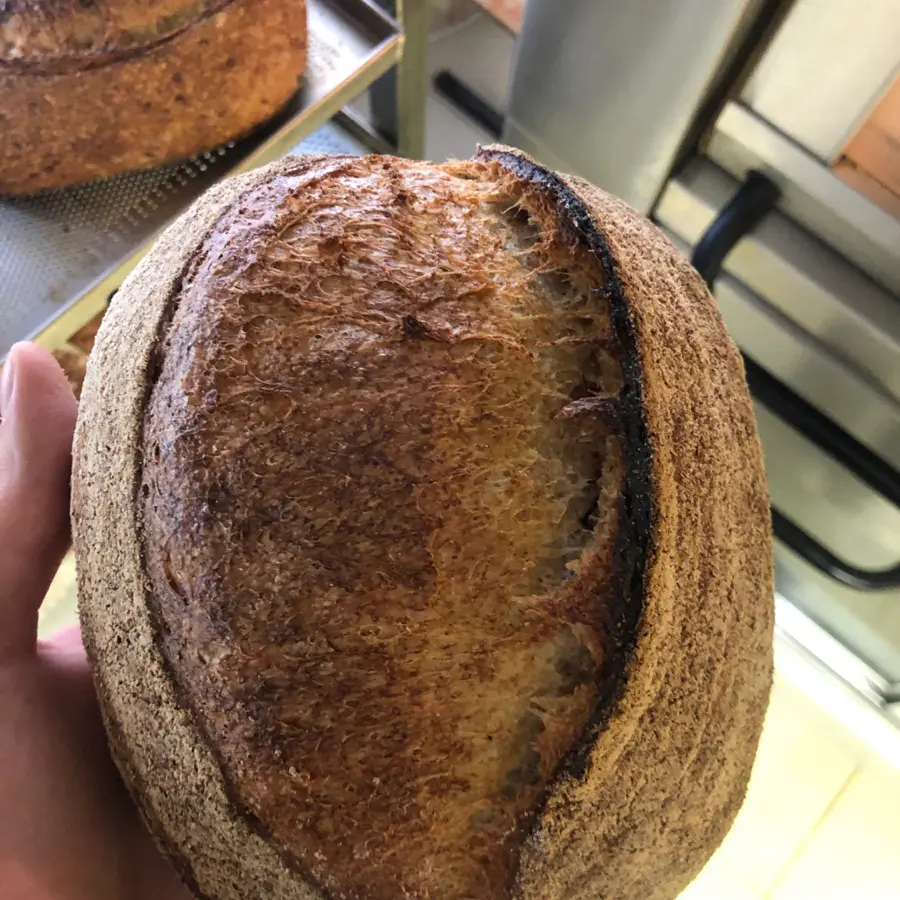 creation thumb for Best bread
