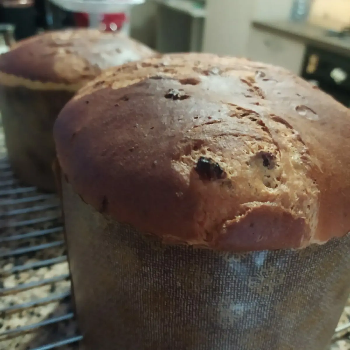 creation thumb for Panettone