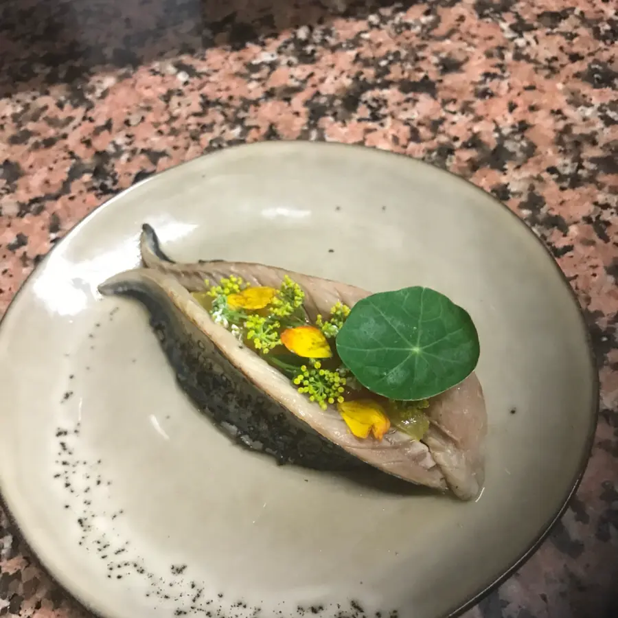 creation thumb for Maquerel grilled , Wild herbes and tomato Green zébra