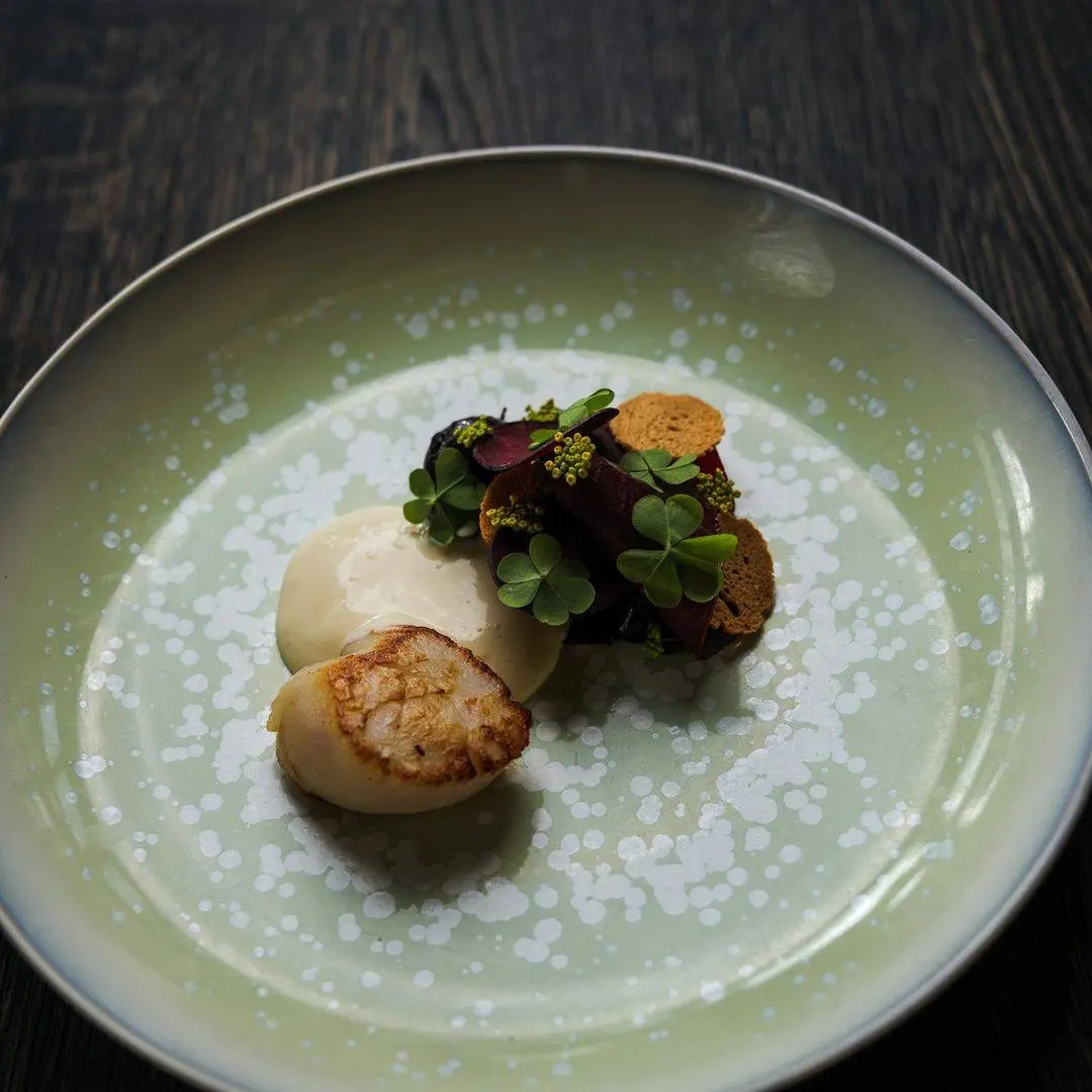 creation thumb for Scallops / Beetroot / Vin Jaune
