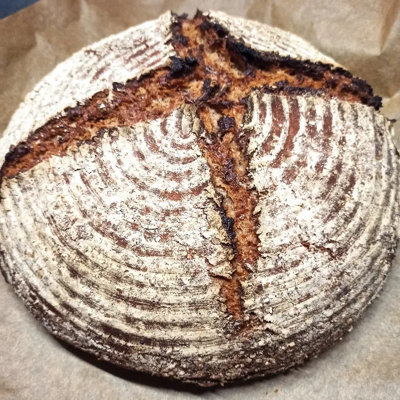 creation thumb for Rye bread with sourdough