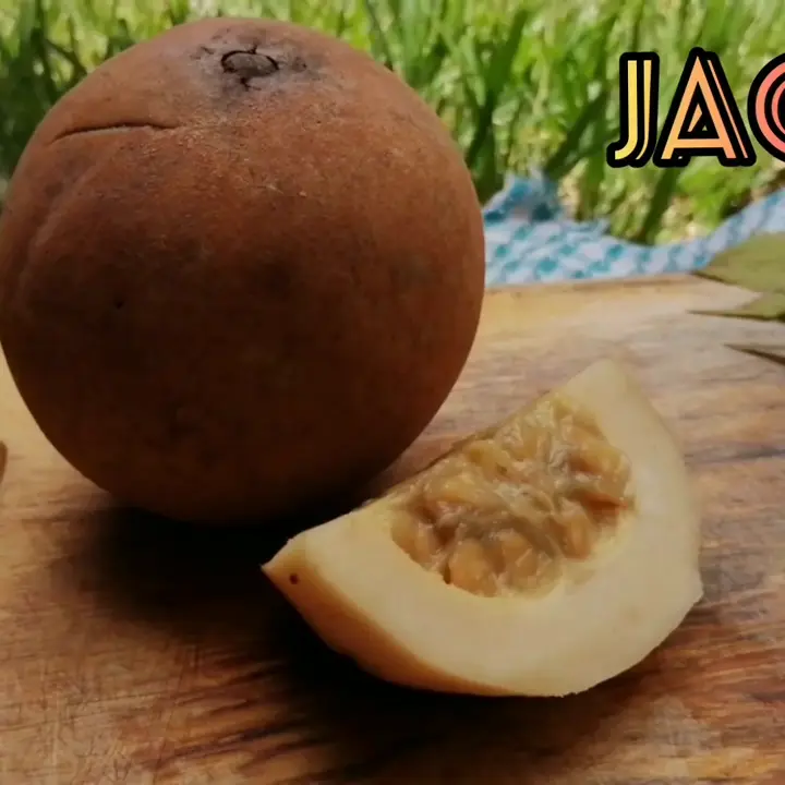 creation thumb for Marinado de Jagua