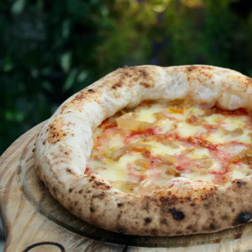 creation thumb for 75% Hydration Contemporany/Canotto Style Pizza
