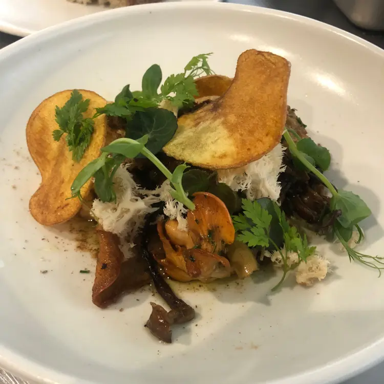 creation thumb for Remarkables Mix Fungii