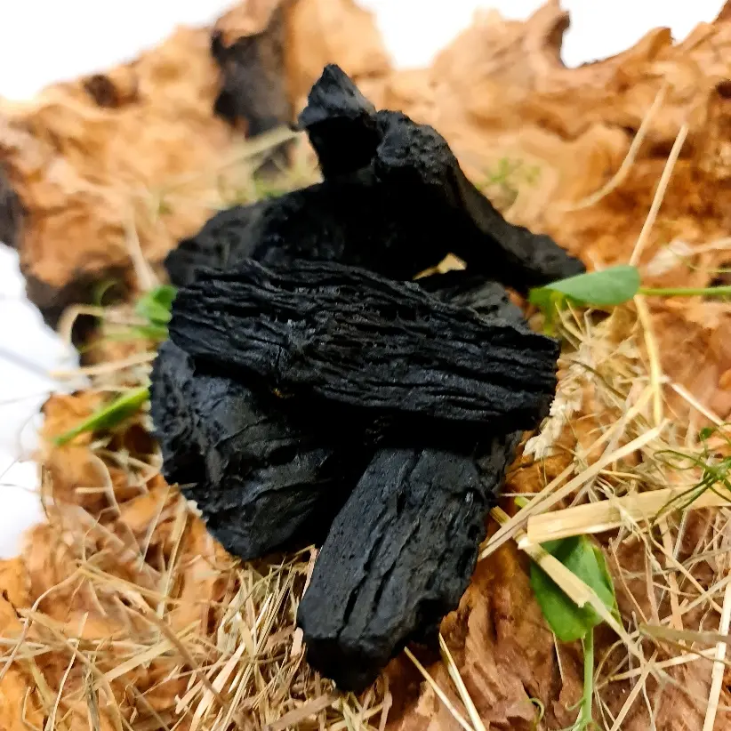 creation thumb for Fake Coal (Cassava Root)