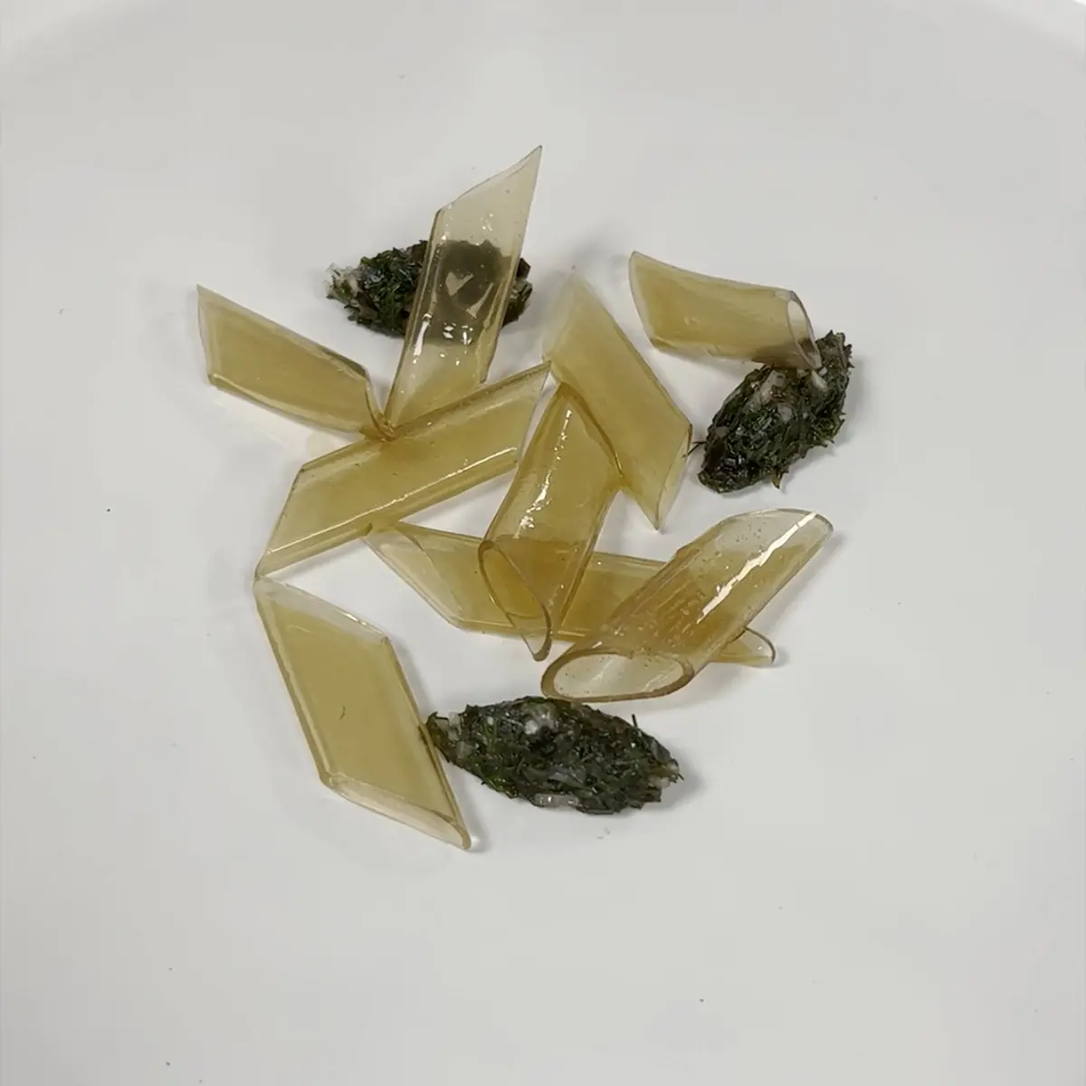 creation thumb for Dashi "Penne"