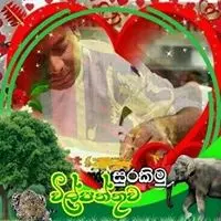 Nilanka Thilakarathna