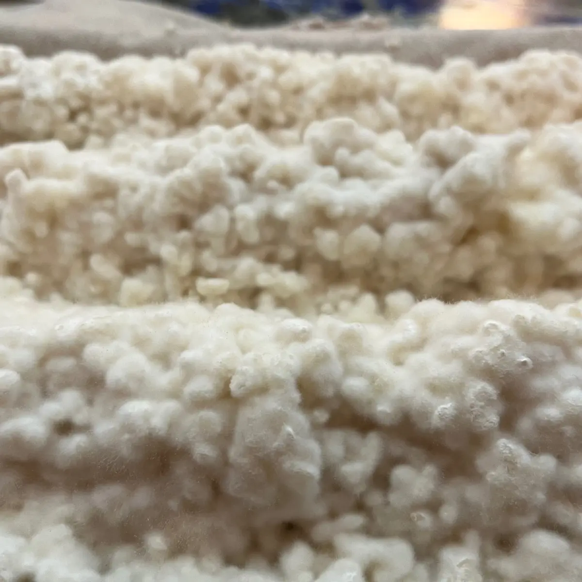 creation thumb for Koji Rice