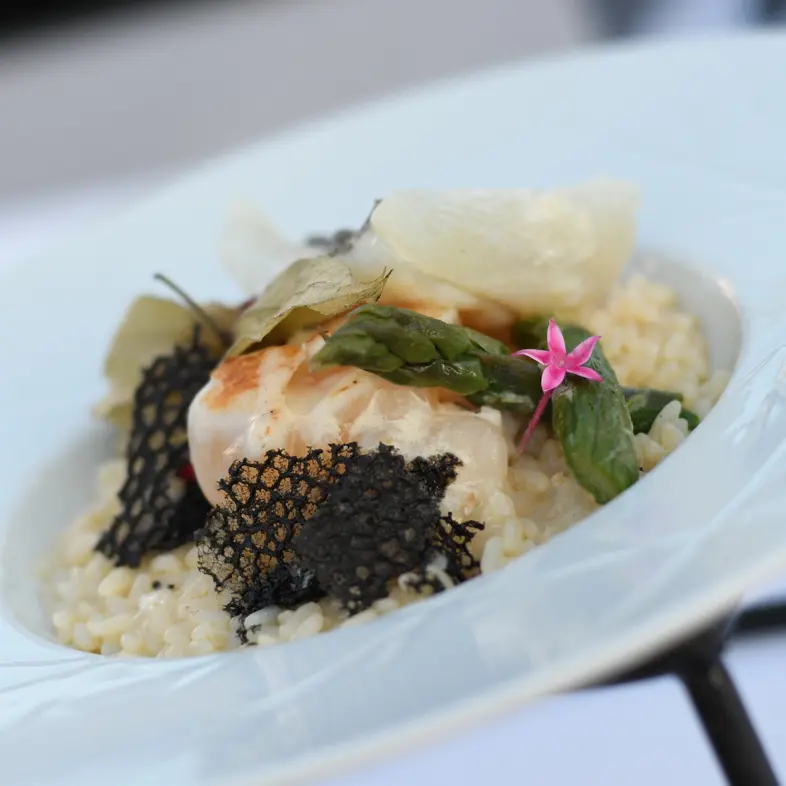 creation thumb for Hummer und St. Jacques auf Sommertrüffelrisotto.