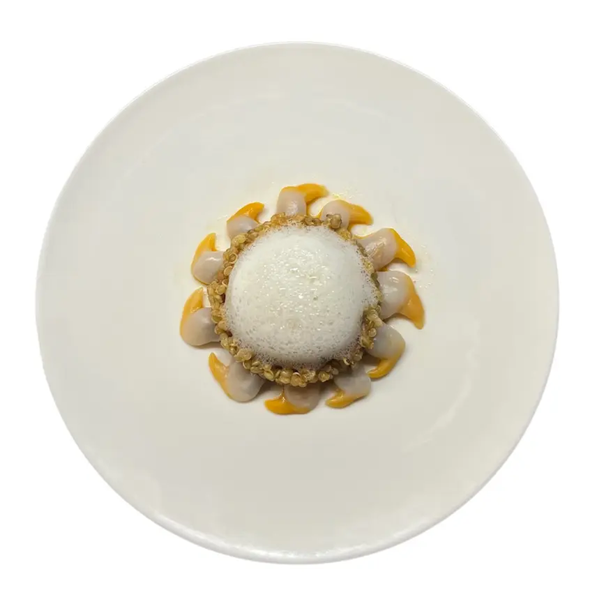 creation thumb for Shellfish Foam