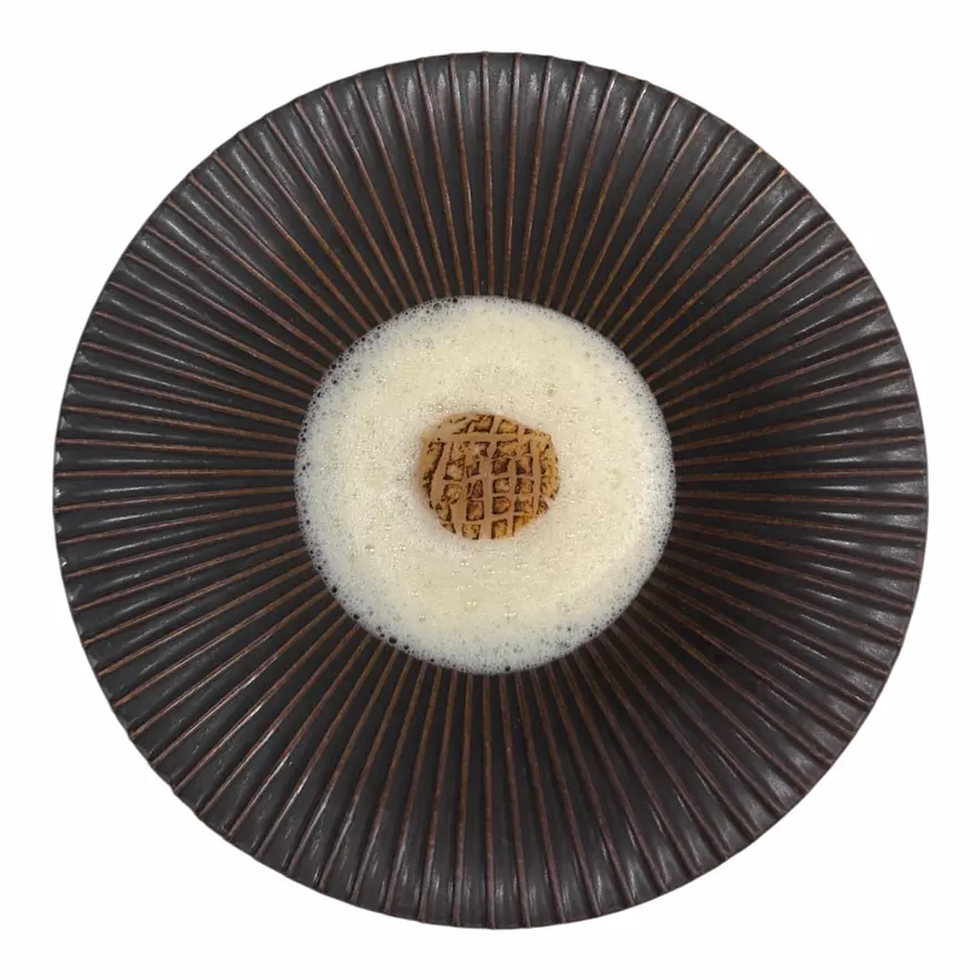 creation thumb for Scallops Foam