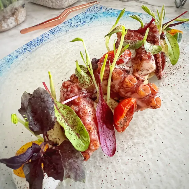 creation thumb for Mediterranean Octopus