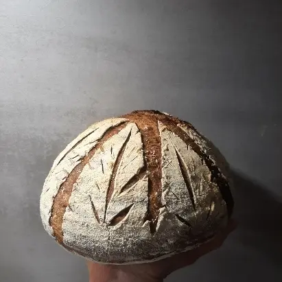 creation thumb for Bread with sourdough