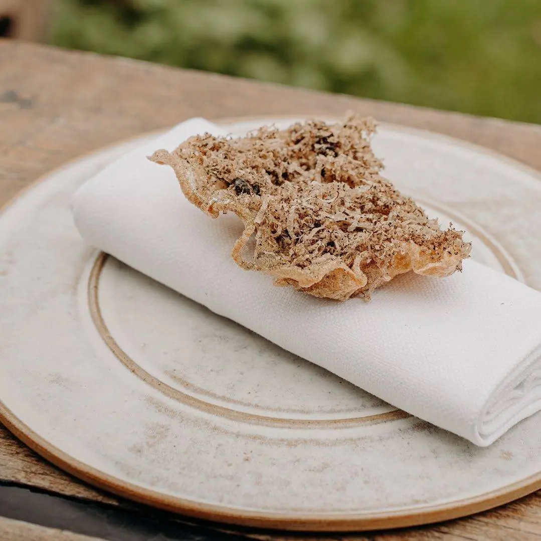 creation thumb for Bark, Chablais truffle
