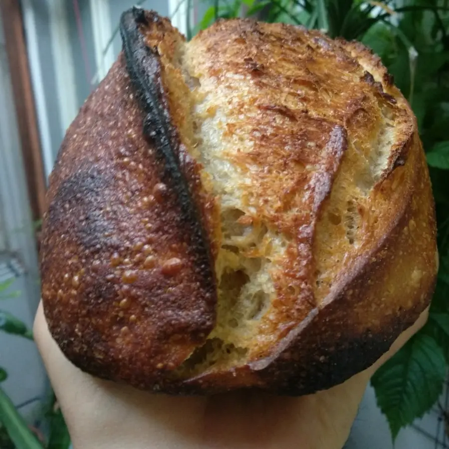 creation thumb for Ancient grains