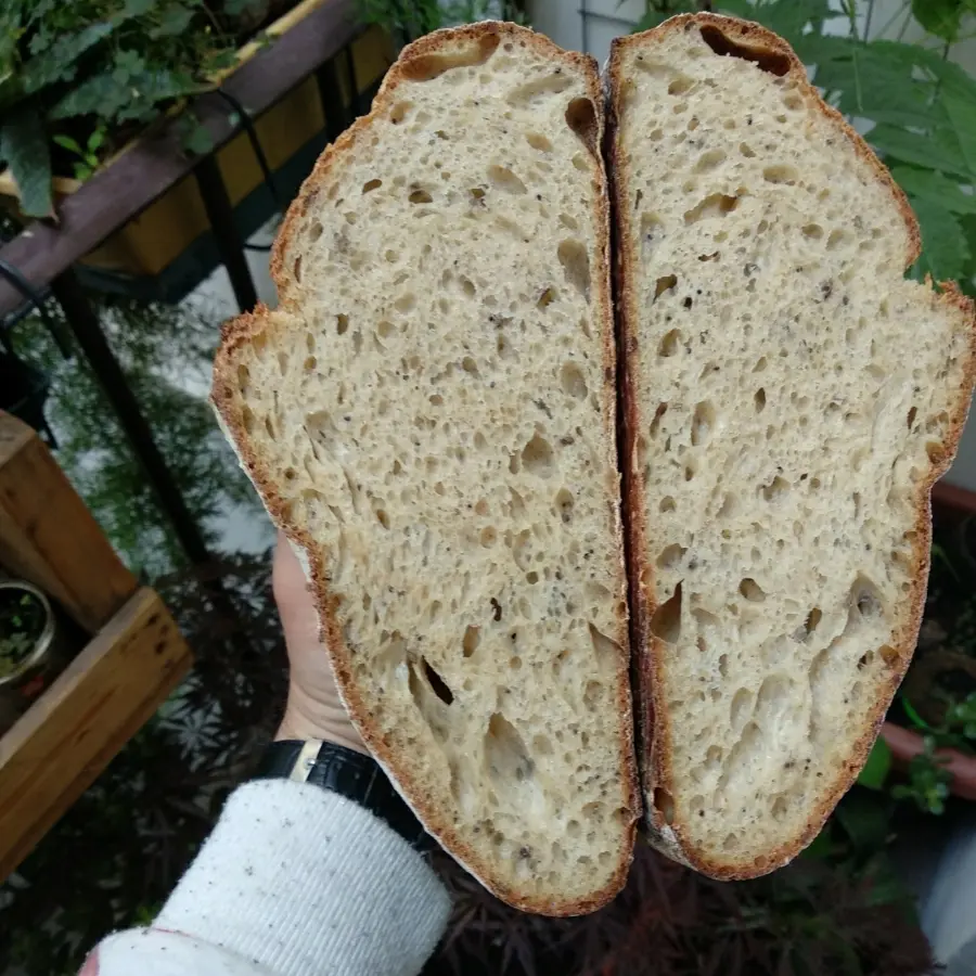 creation thumb for Sourdough bread