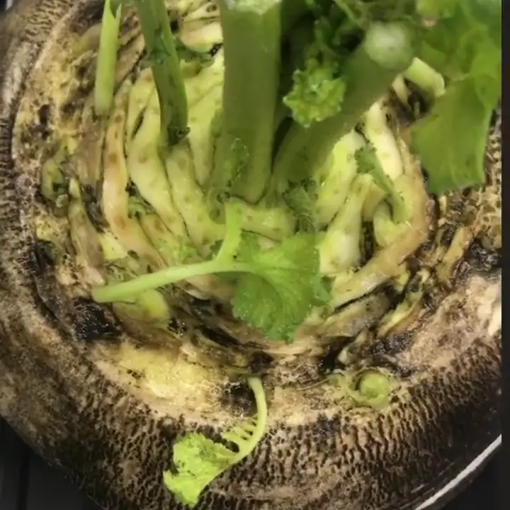 creation thumb for Fermented juice of black radish and honey.