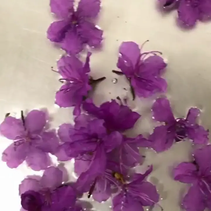 creation thumb for Tea with pickled bagulnik blossoms