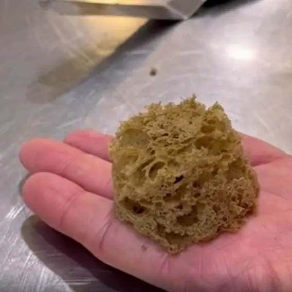 creation thumb for Dried vegetables or fruit sponge cake