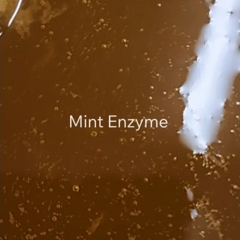 creation thumb for Mint Enzyme