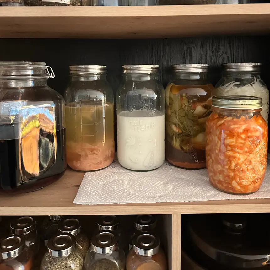 creation thumb for Fermentation in progress ….