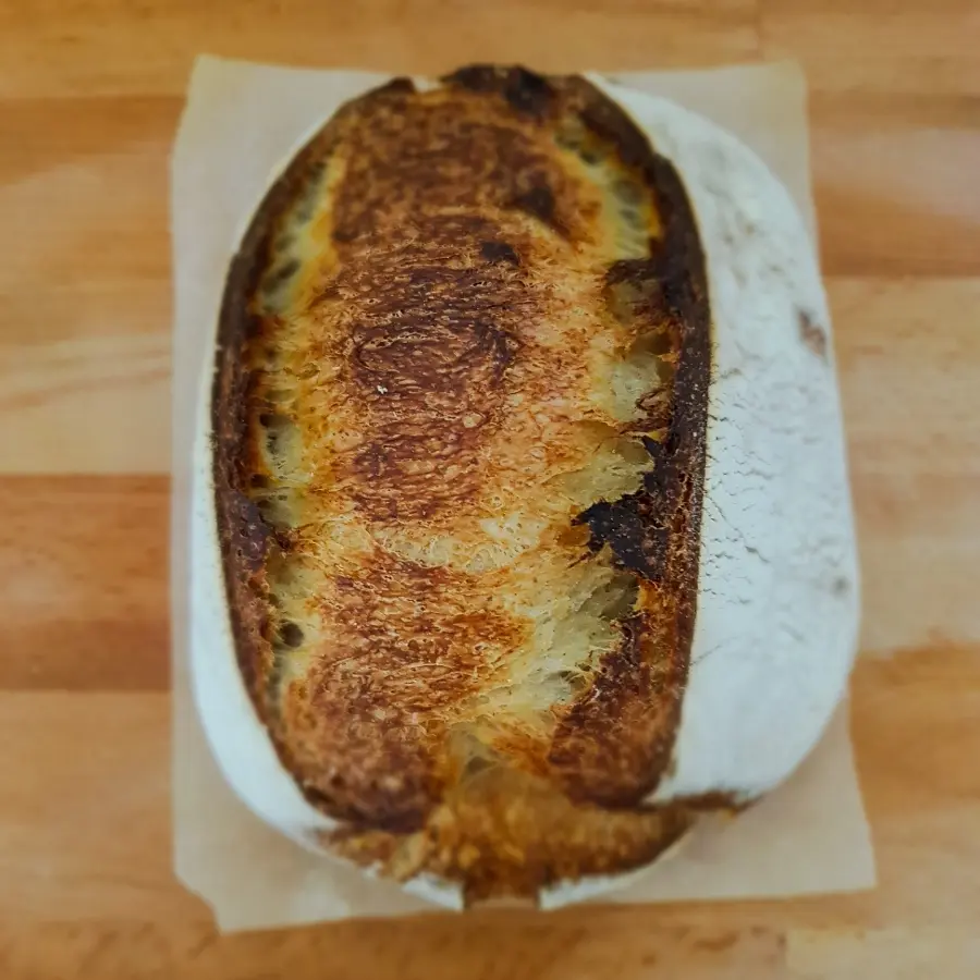 creation thumb for Sourdough bread