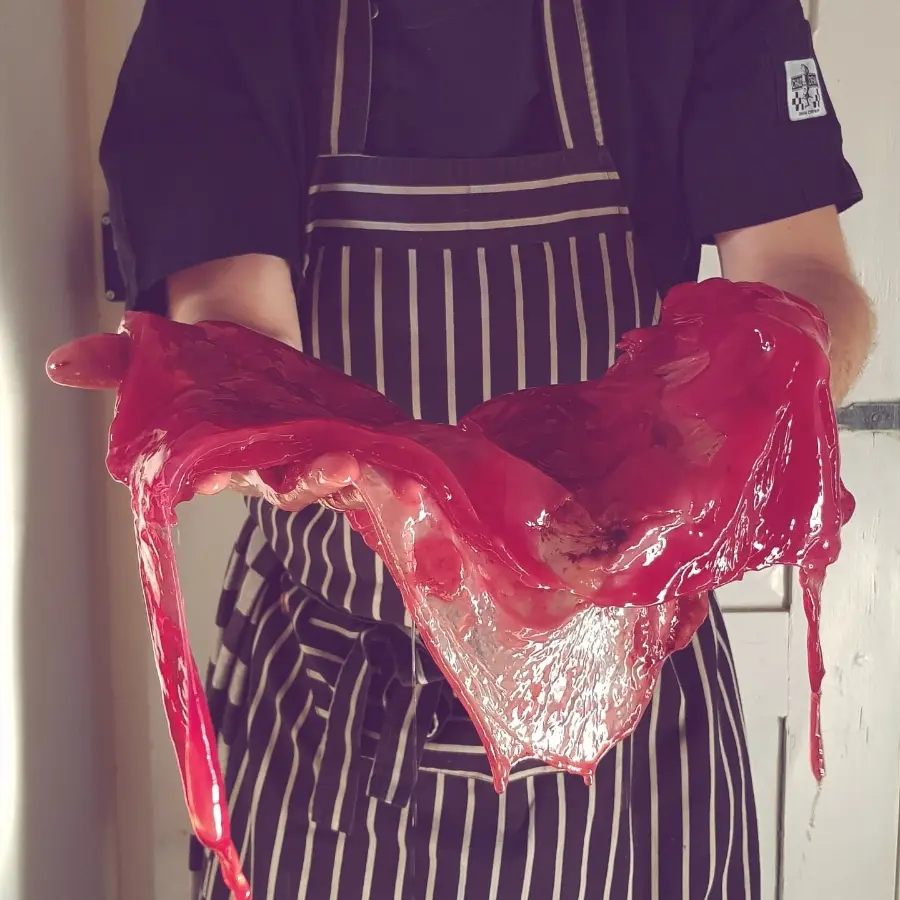 creation thumb for My red tea kombucha scoby