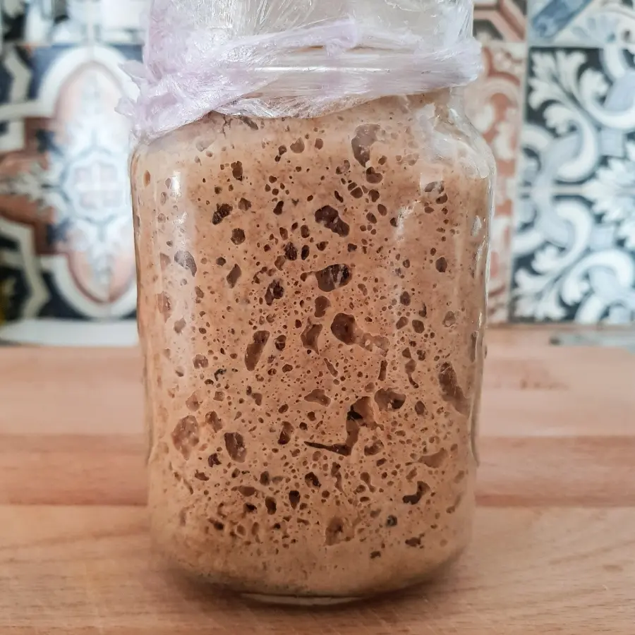 creation thumb for Sourdough bread with nuts and dried grapes