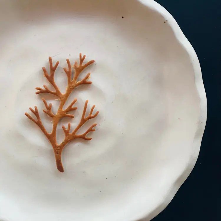 creation thumb for Black sesame coconut tuile