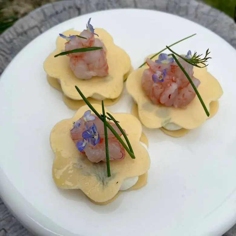 creation thumb for Herbs pasta with ricotta and prawn tartare