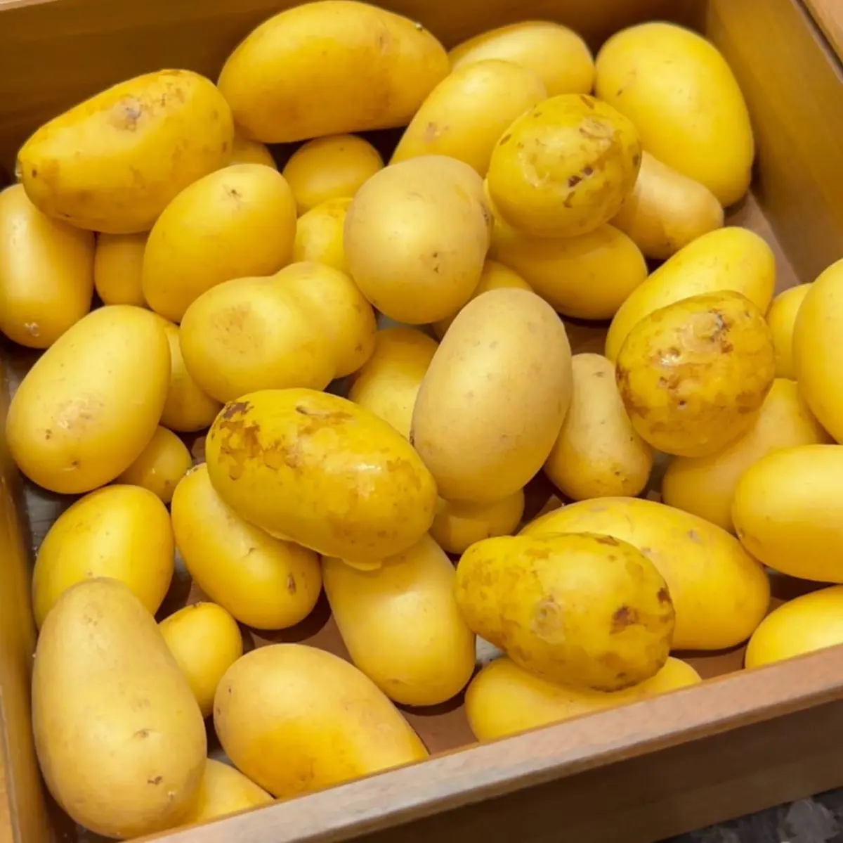 creation thumb for Fake Potato 🥔
