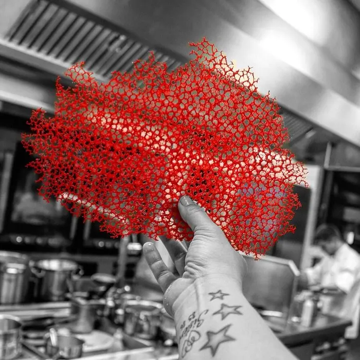 creation thumb for Red Tuille