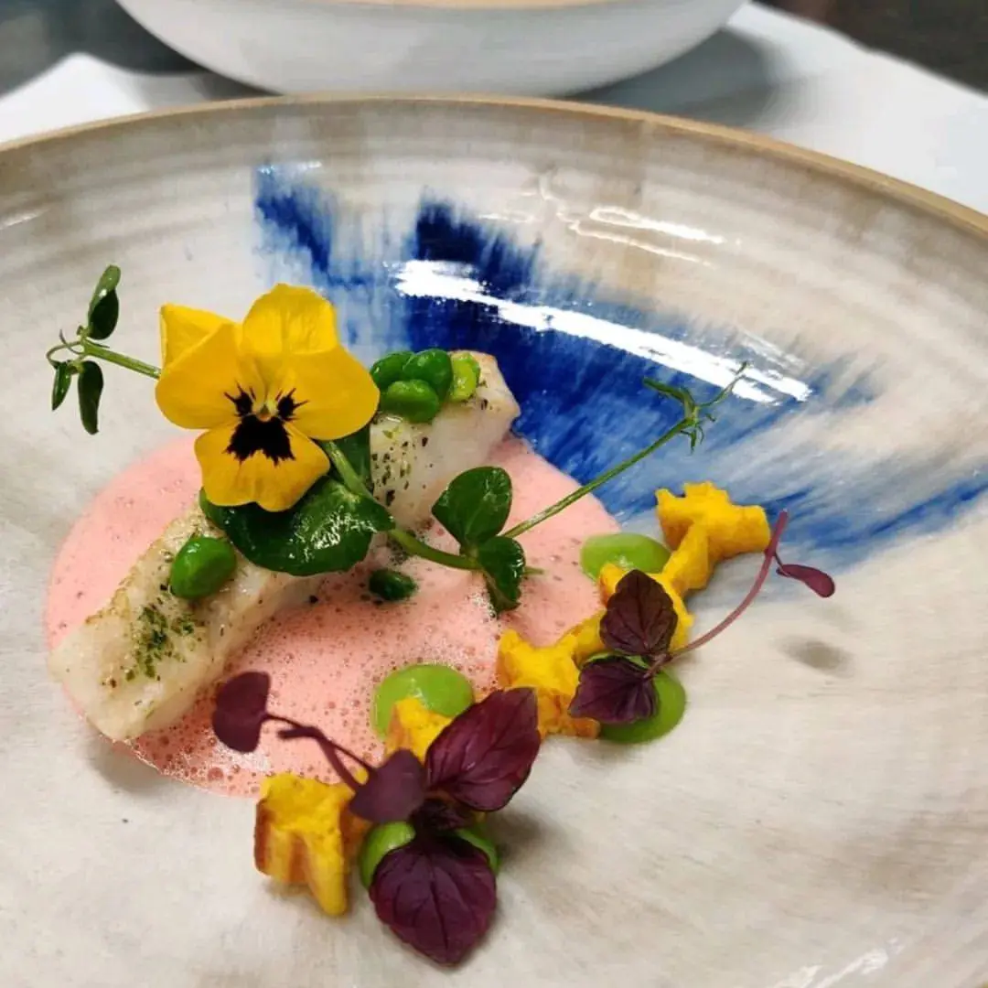 creation thumb for wild turbot / rhubarb-duck liver foam / young peas / potato