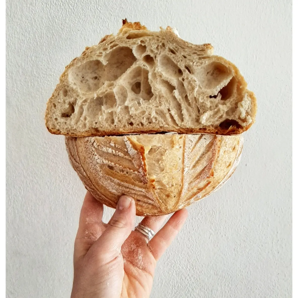creation thumb for Sourdough
