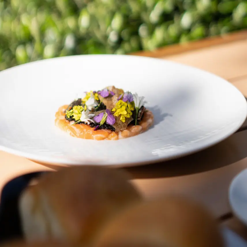 creation thumb for Salmon tartare