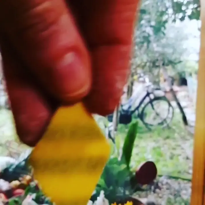 creation thumb for Making Pasta