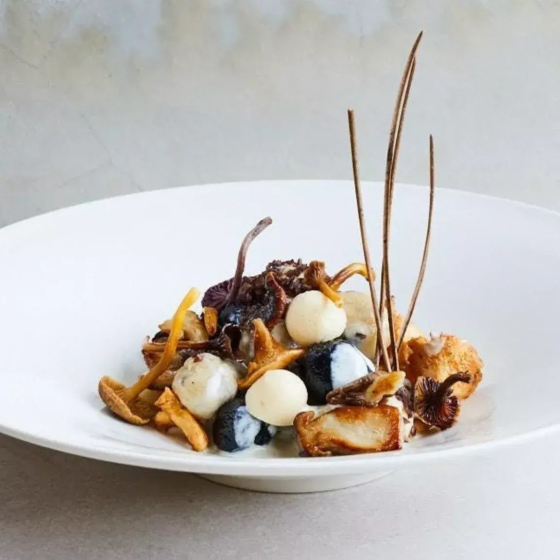 creation thumb for Truffle Gnocchi with Pine Cream and Vegan Mozzarella