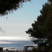 Paolo Siena