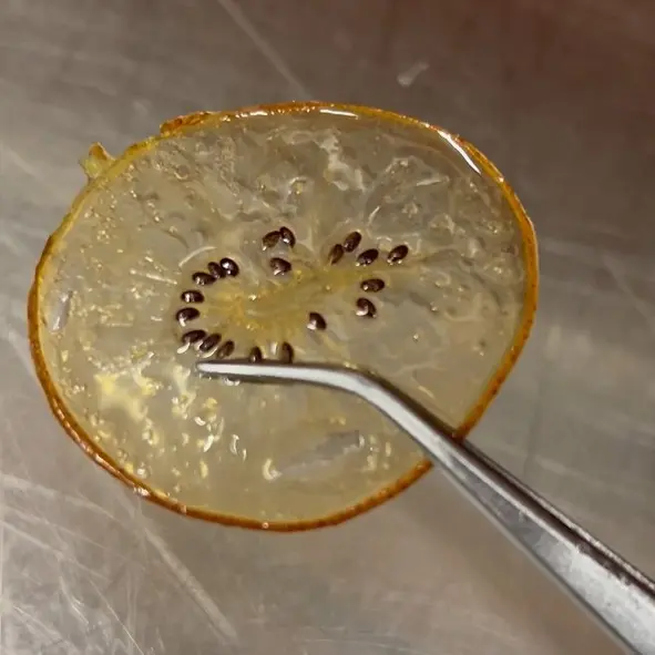 creation thumb for Caramelized Kiwi Chips