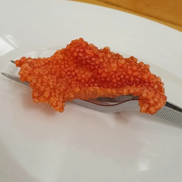 creation thumb for Beetroot tapioca chips