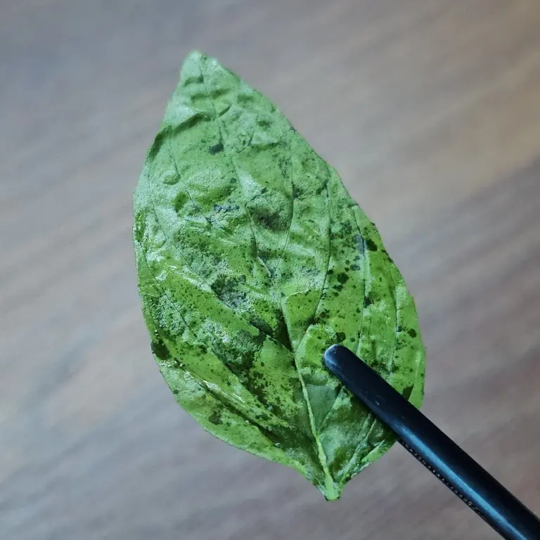 creation thumb for Crispy Basil leaf