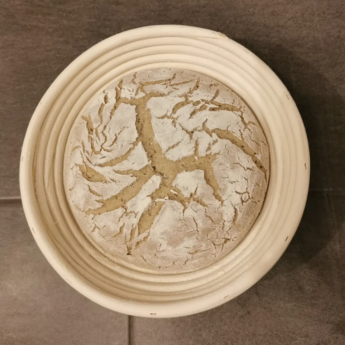 creation thumb for Sourdough 