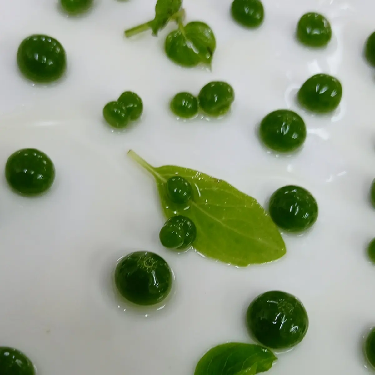 creation thumb for Basil 🌱 caviar