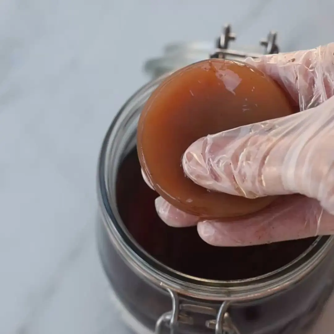 creation thumb for Cómo hacer SCOBY (Cultivo Simbiótico de Bacterias y Levaduras)